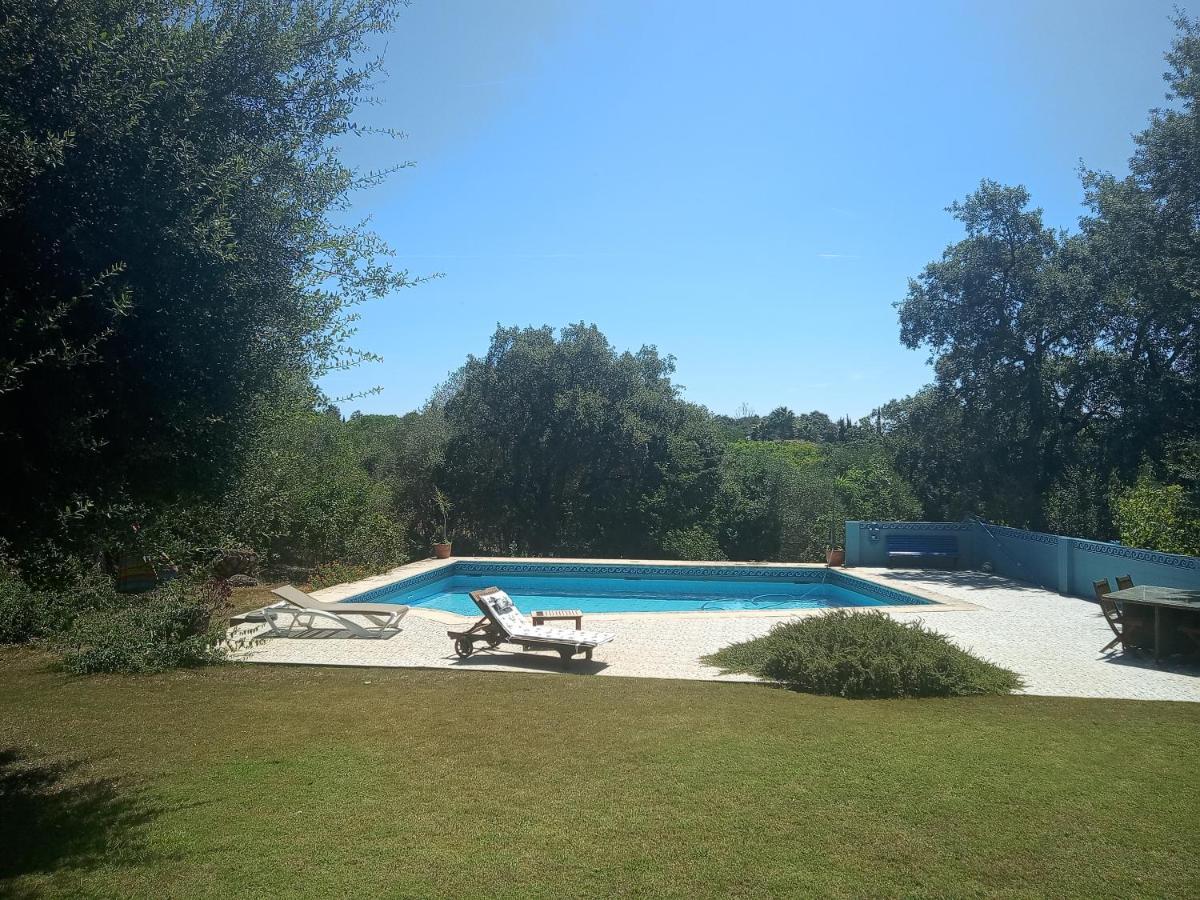 Sotogrande - Estancia En Plena Naturaleza - Abril Eksteriør bilde