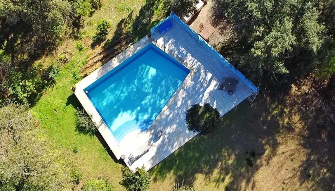 Sotogrande - Estancia En Plena Naturaleza - Abril Eksteriør bilde