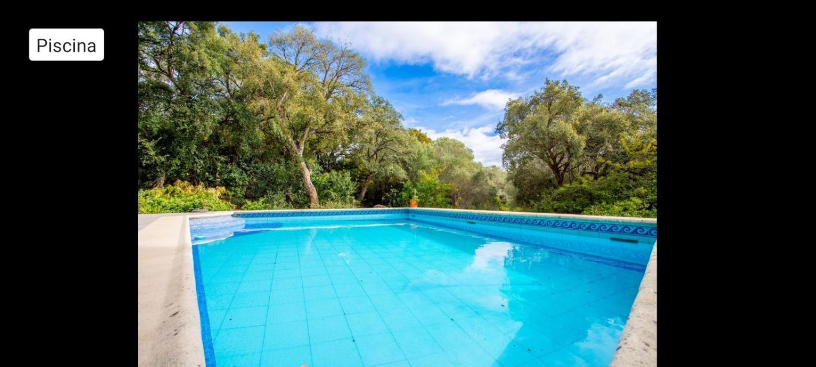 Sotogrande - Estancia En Plena Naturaleza - Abril Eksteriør bilde
