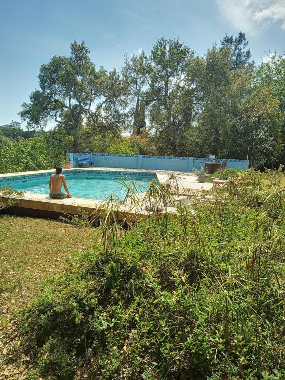 Sotogrande - Estancia En Plena Naturaleza - Abril Eksteriør bilde