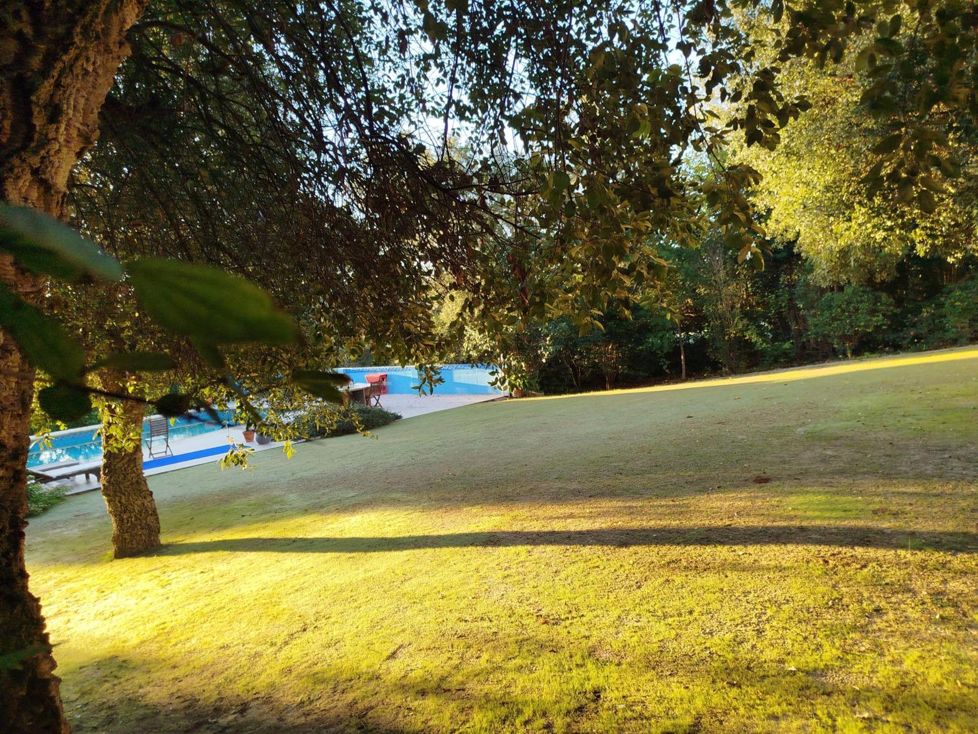 Sotogrande - Estancia En Plena Naturaleza - Abril Eksteriør bilde